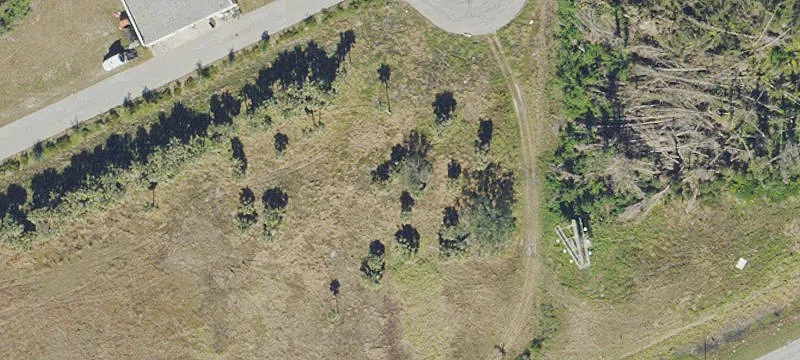 Vacant Land on Pine Island