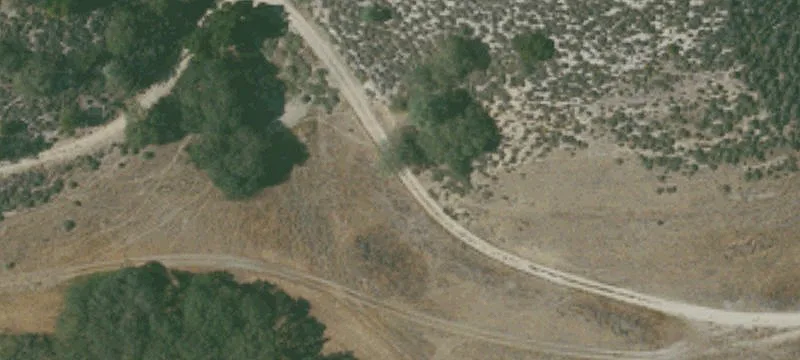 Fenced Ranch with Exotic Animals