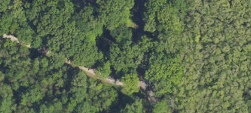 215 Acres Hunting Land Columbia