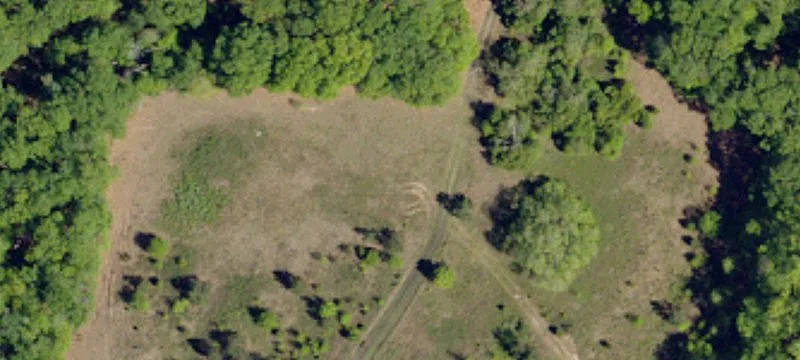 Wooded Property with Pond Access