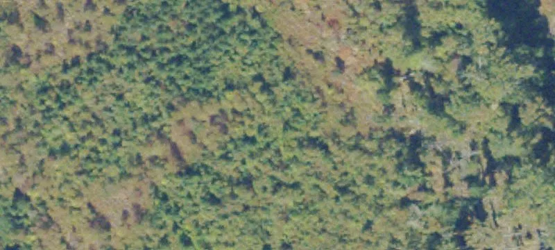51.28 Acres Commercial Land Available