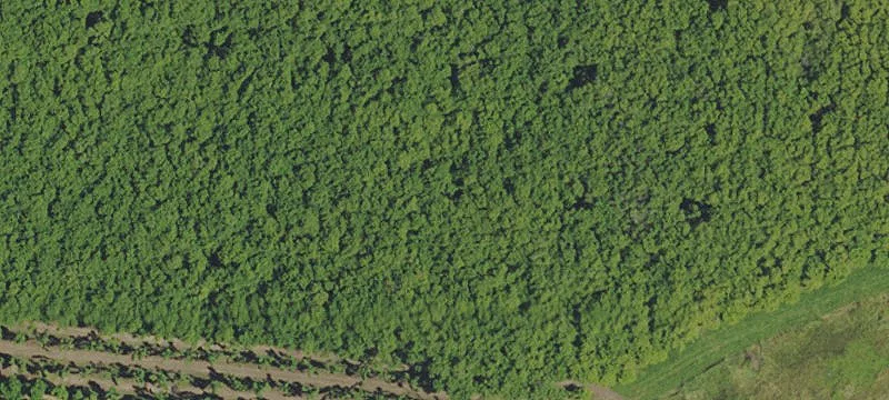 65 Acres Industrial Land Opportunity