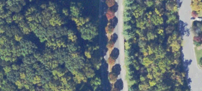 16.86 Acres on Peters Creek