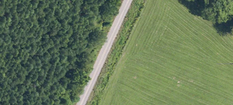 Cutover Tract Hunting Spot