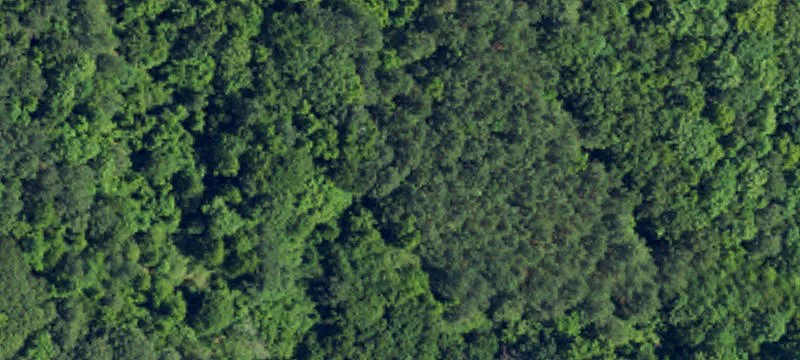 Zebulon Land For Sale