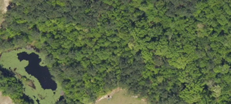 Lexington Land For Sale