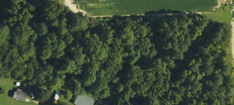 Residential Development Land in Holly Springs