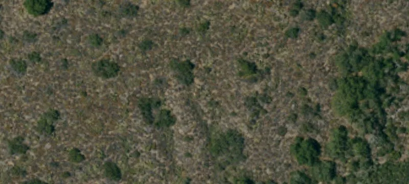 Approved Building Lots in Subdivision