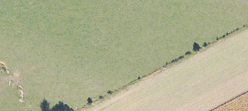 20+ Acre Equestrian Lot