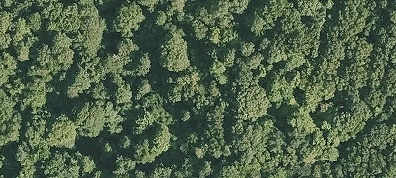 Wilbraham Land with View Potential
