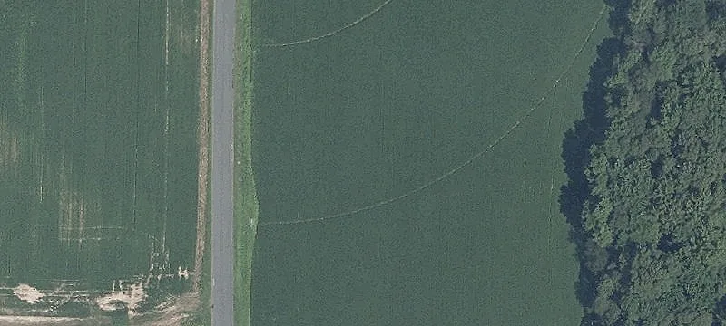 Former Nursery Site on Route 50