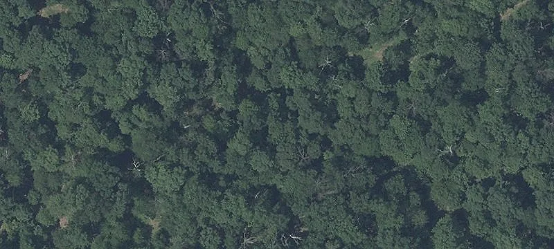 Land Available in Mount Airy