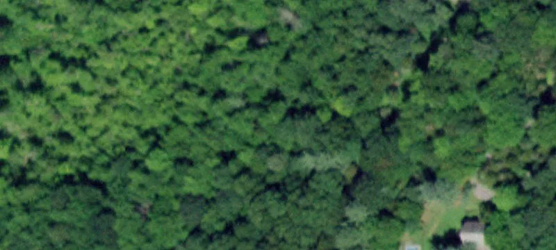 196-Acre Farm with Subdivision Potential