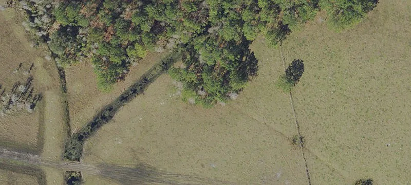 Residential Land in Polk City
