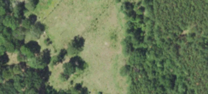 Apple Springs Serene Acreage