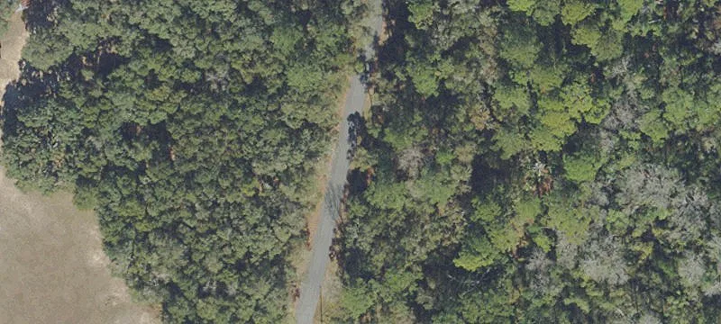 Vacant Lot in Silver Springs