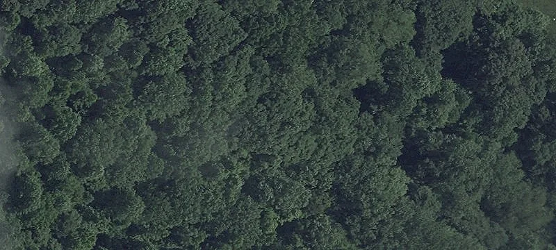 1.25 Acres, No HOA