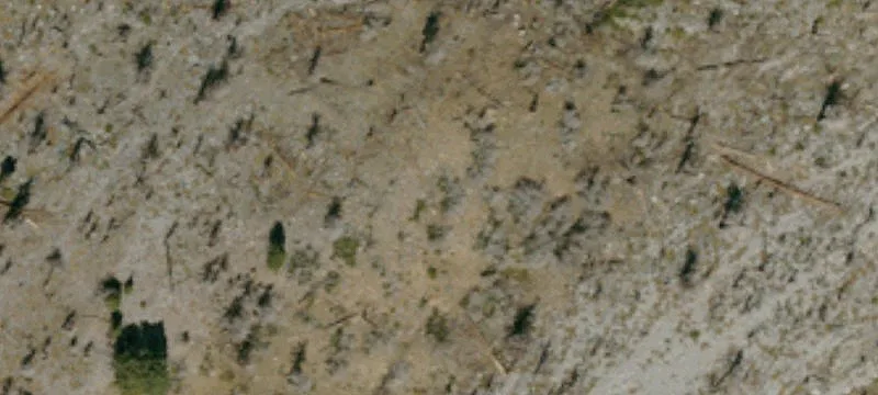 Residential Land in Big Bear