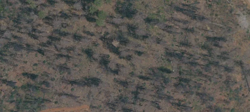 Level Acreage with Water Well