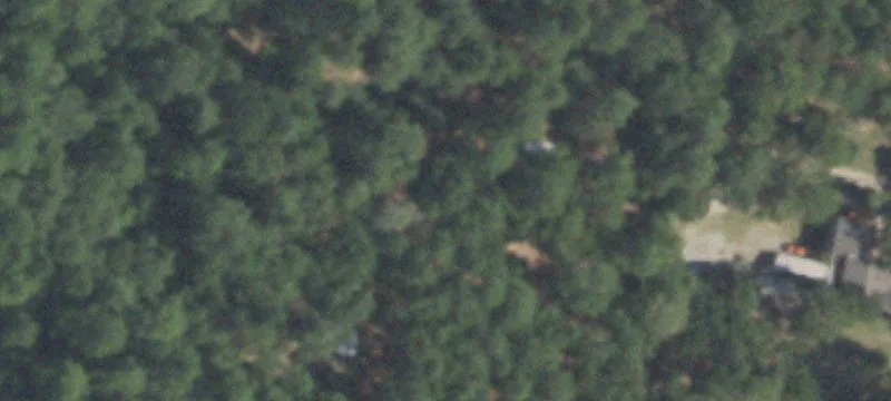 5.8 Acre Tract in Plantersville