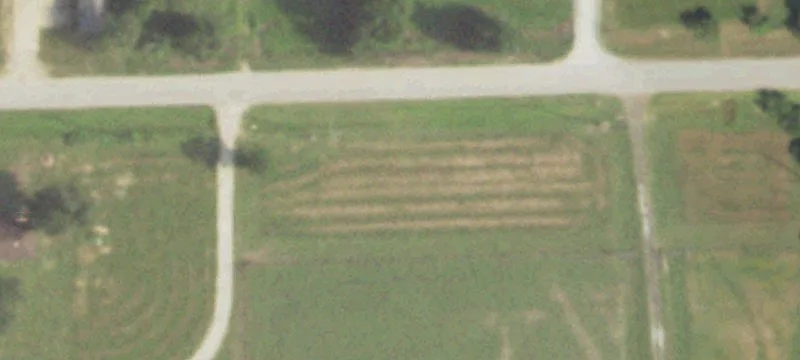 Cleared Half-Acre Lot