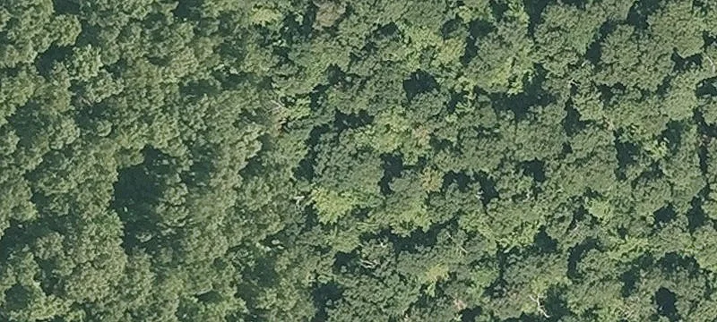 170+ Acre Residential Land Parcel