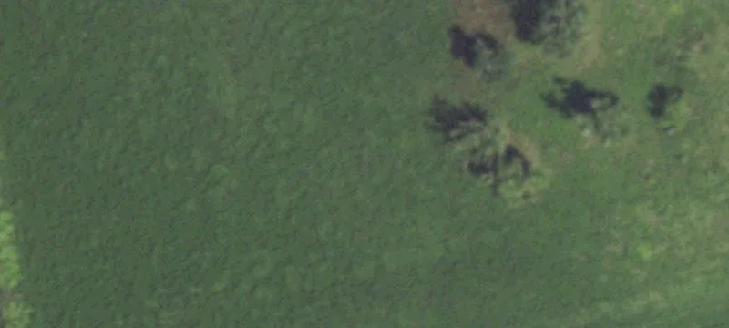 Unrestricted Acreage in East Columbia