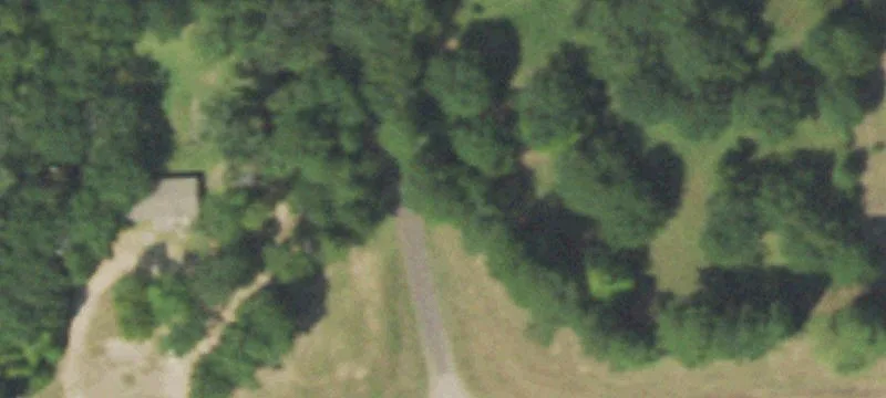 East Texas Treed Land Parcel