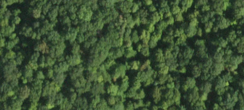Wooded Parcel Near Delaware River