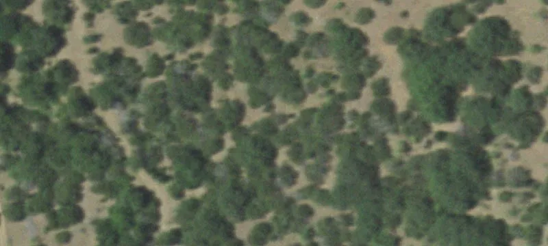 Secluded Land with Private Pond