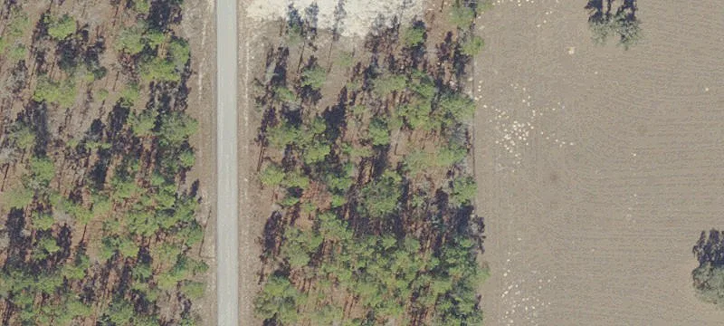 Residential Land in Dunnellon