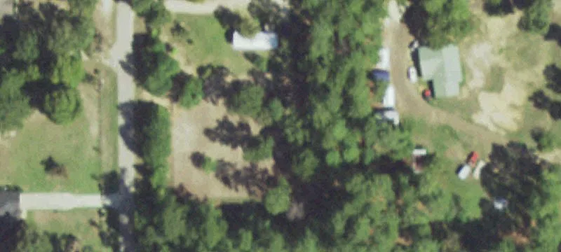Tyler County Wooded Land For Sale