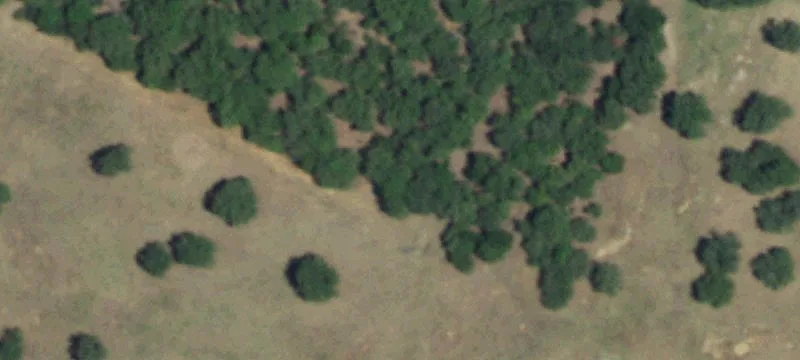 24 Acre Ranch with Ponds