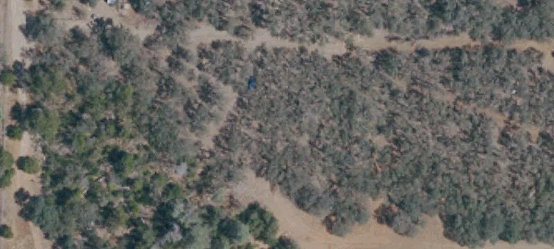 Undeveloped Land in Clearlake