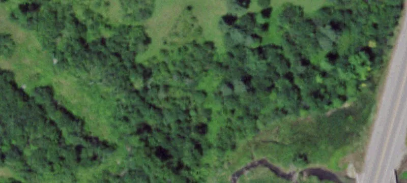 Prime Building Lot Opportunity