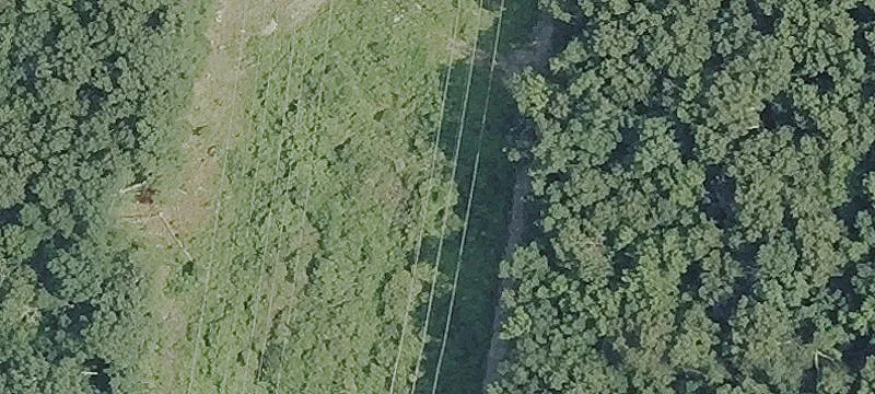 Expansive Land Parcel For Sale