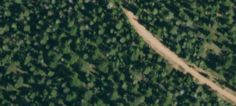 Wooded Acreage in Fort Garland