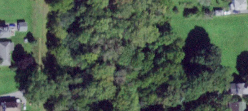 6.3 Acres in Auburn