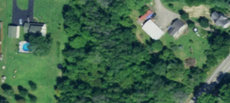 Wooded Lot in Wilson School