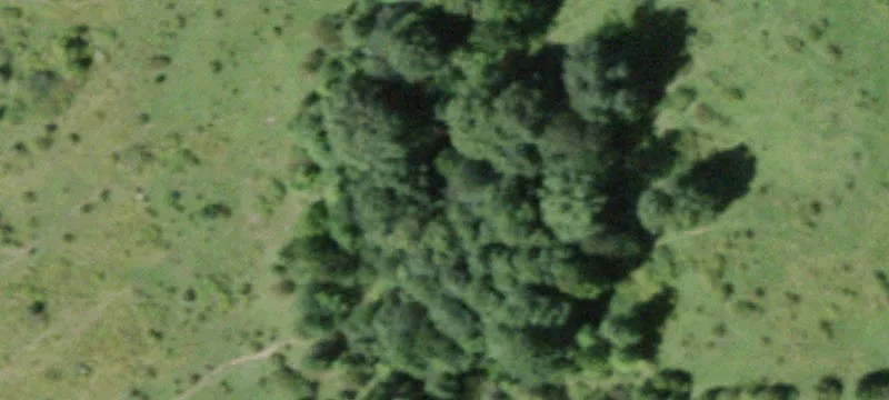 Secluded 322-Acre Recreational Land