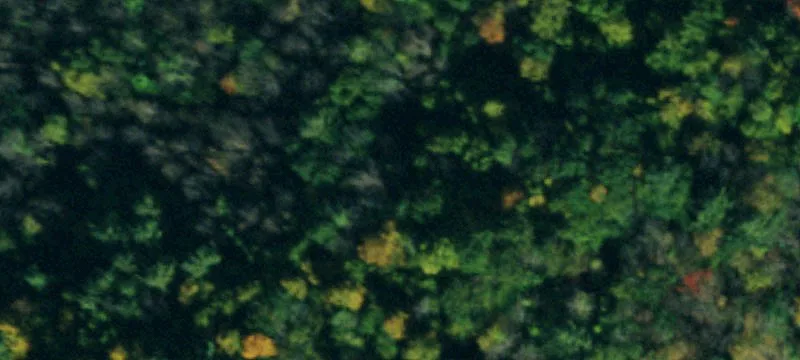 Residential Land for Dream Home