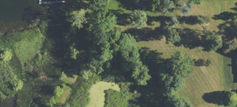 Turtle Lake Estate Site