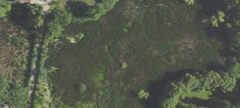 Waterfront Lot on Scott Lake