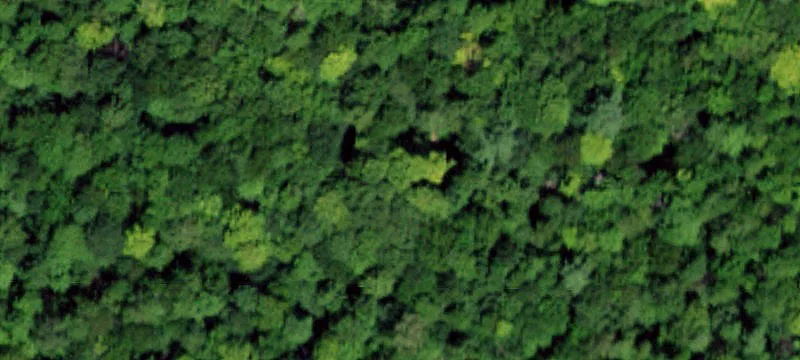 Secluded Hunting Land For Sale