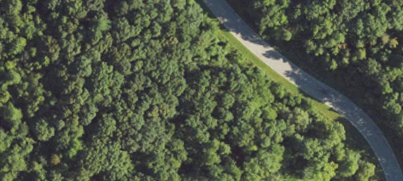 Residential Land in Groveland Knolls
