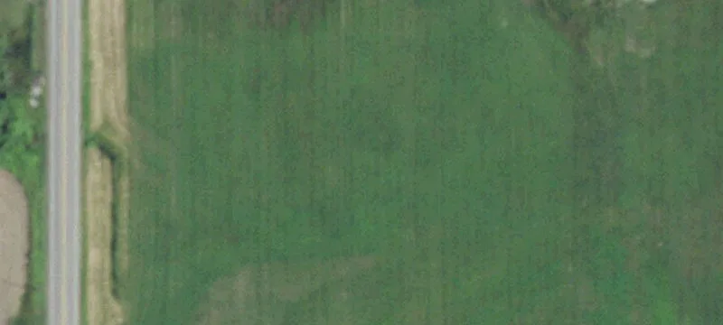 Agricultural Land Amongst Apple Orchards