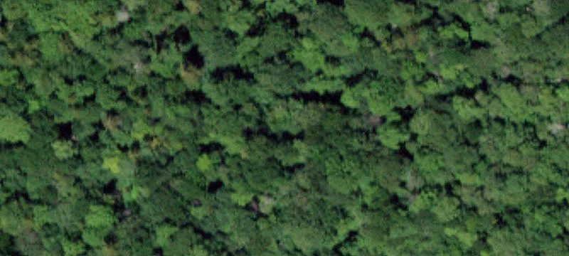 Adirondack Retreat and Hunting Land