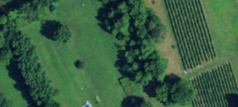 Building Lot with Grape Field View
