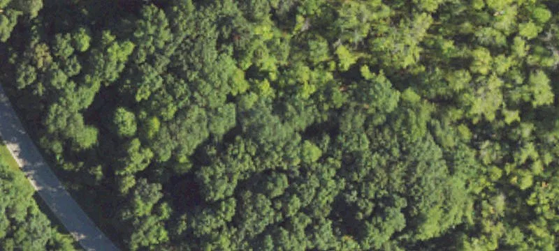 Residential Land in Groveland Knolls