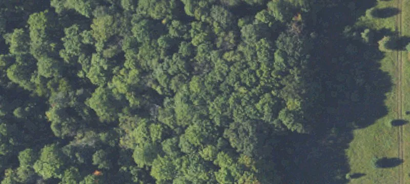 Residential Land Near Lake Michigan